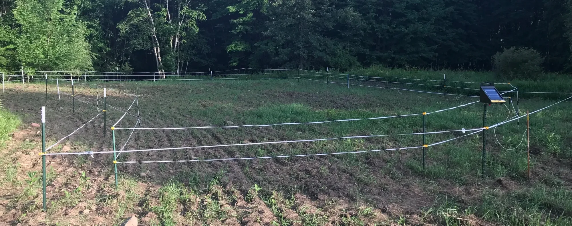 Are Dual-Perimeter Fences a Legit Strategy?