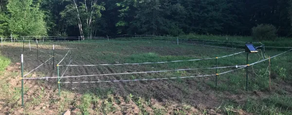 Are Dual-Perimeter Fences a Legit Strategy?